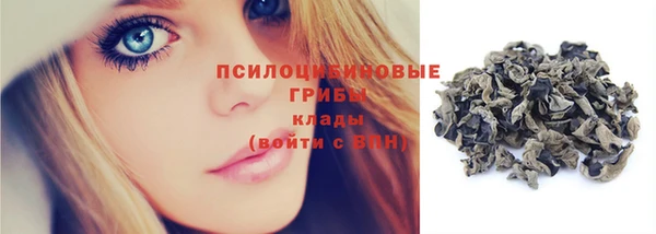 дмт Дмитриев