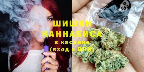 дмт Дмитриев