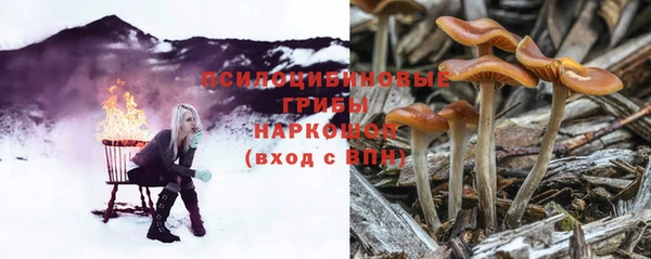 дмт Дмитриев