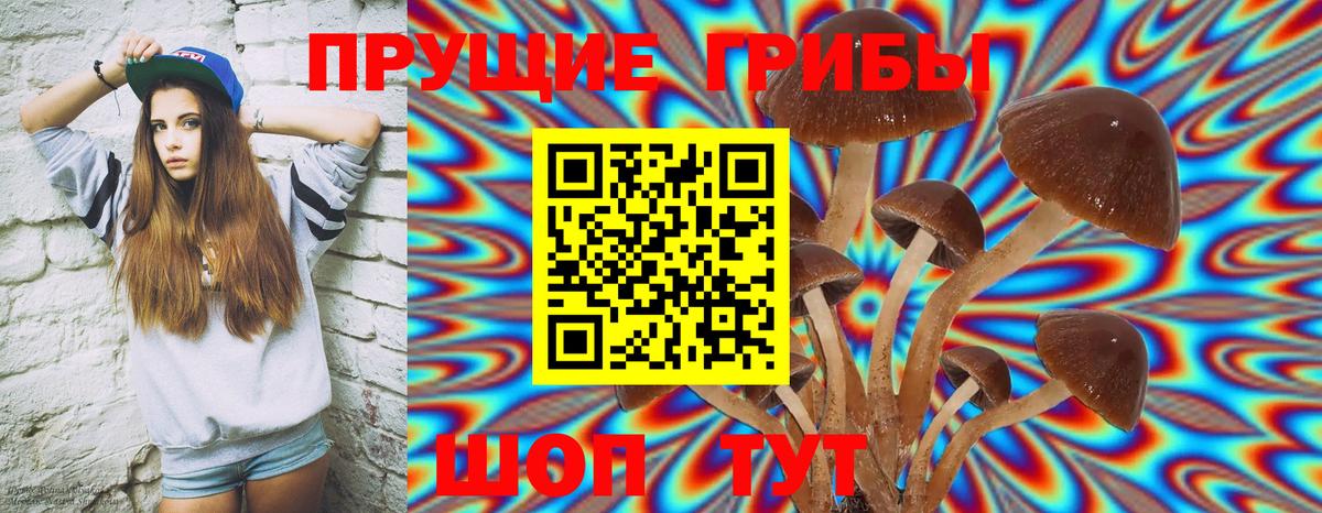 Нурлат  Псилоцибиновые грибы Magic Shrooms  купить закладку  Вход с VPN 