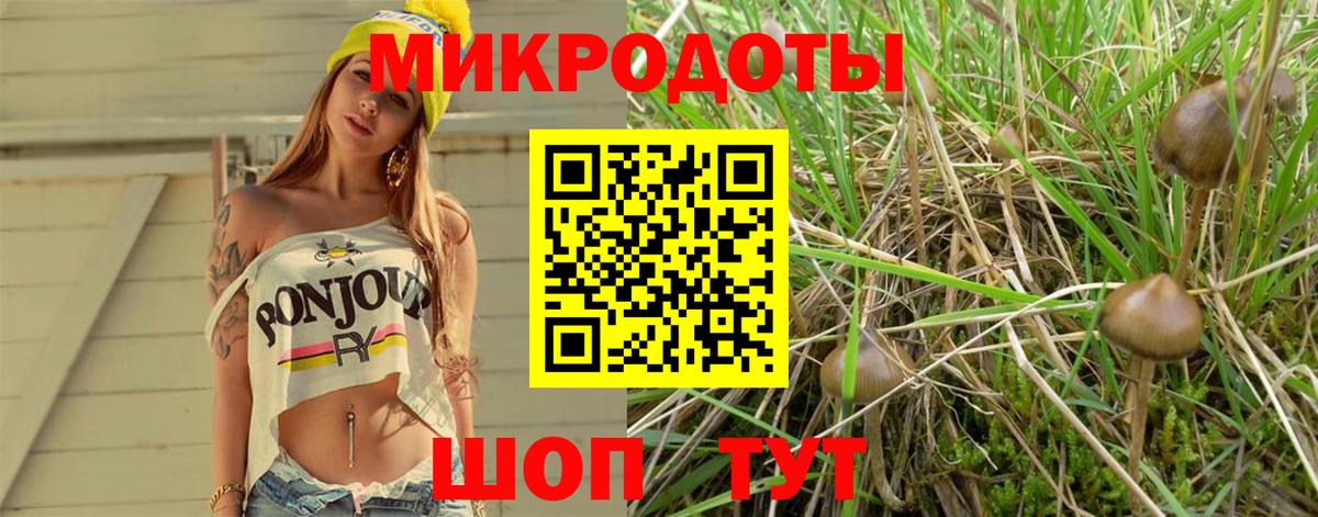 Галлюциногенные грибы MAGIC MUSHROOMS  закладки  Нурлат 