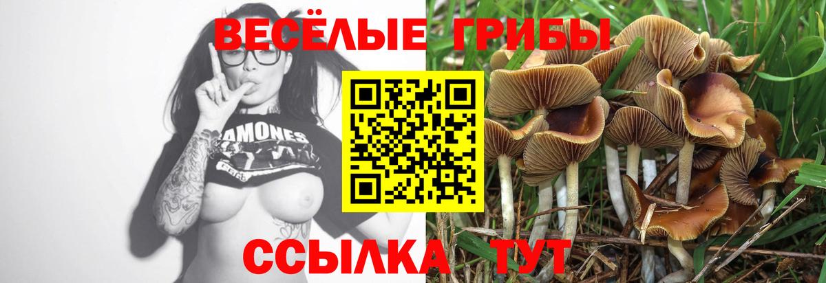 Псилоцибиновые грибы MAGIC MUSHROOMS Нурлат